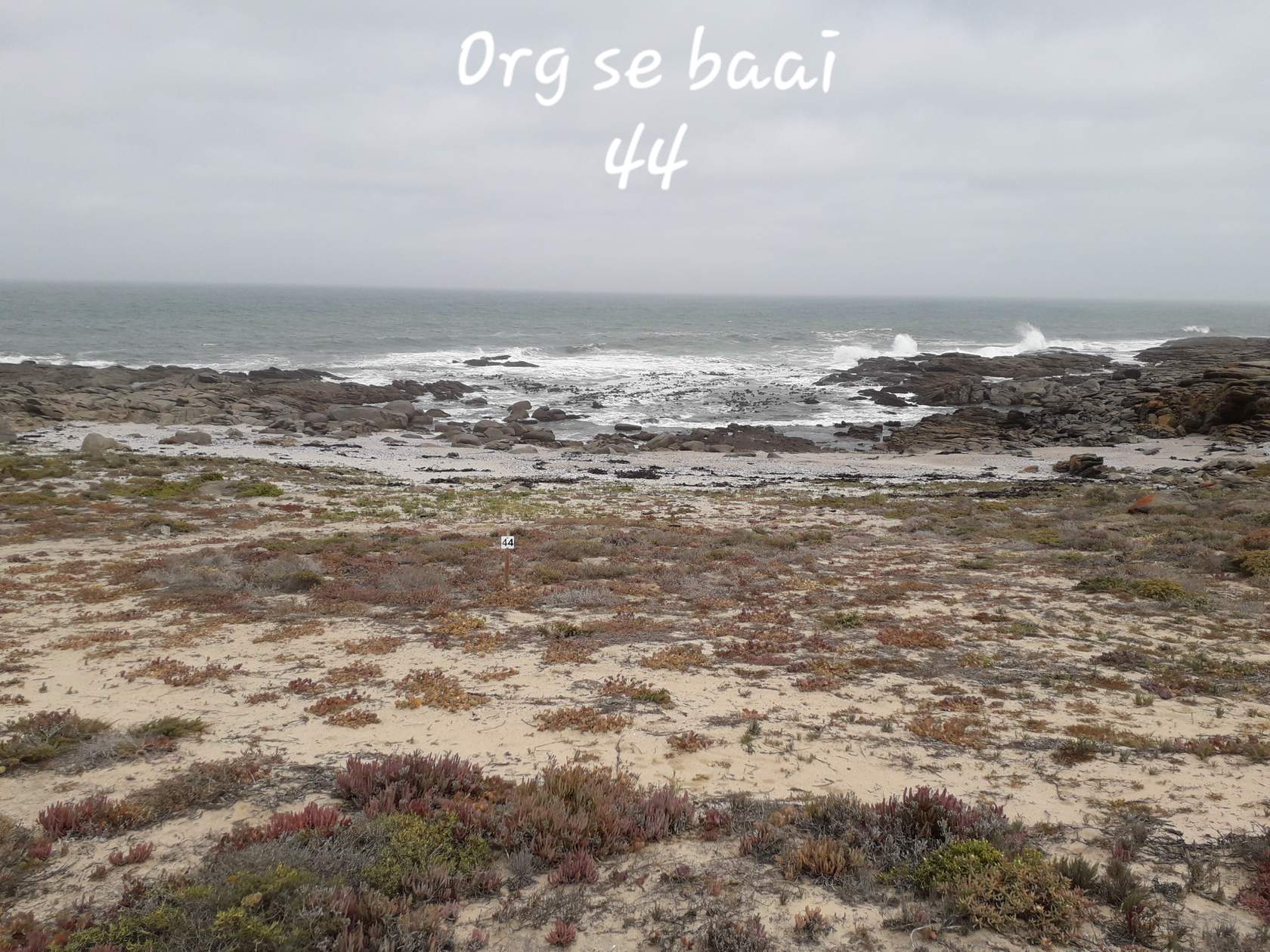 orgsebaai 44