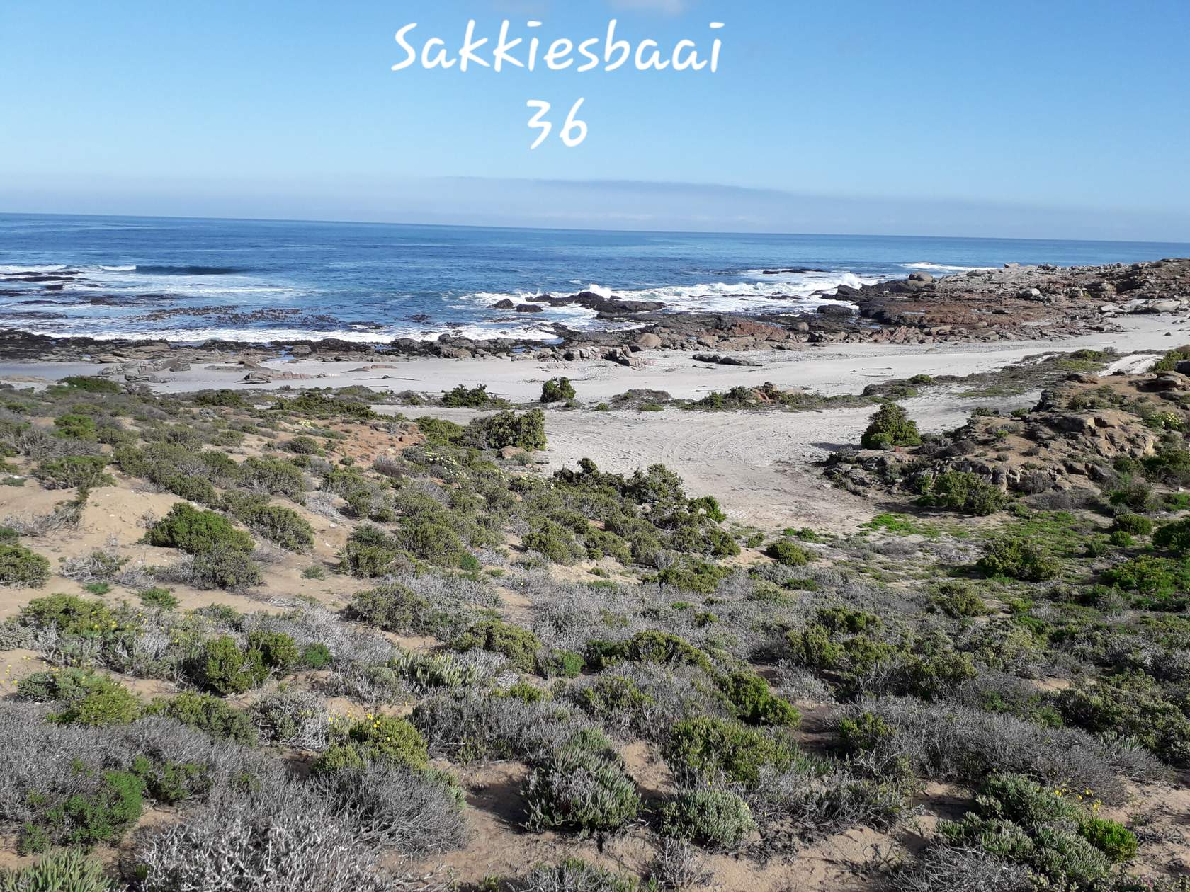 sakkiesbaai 36