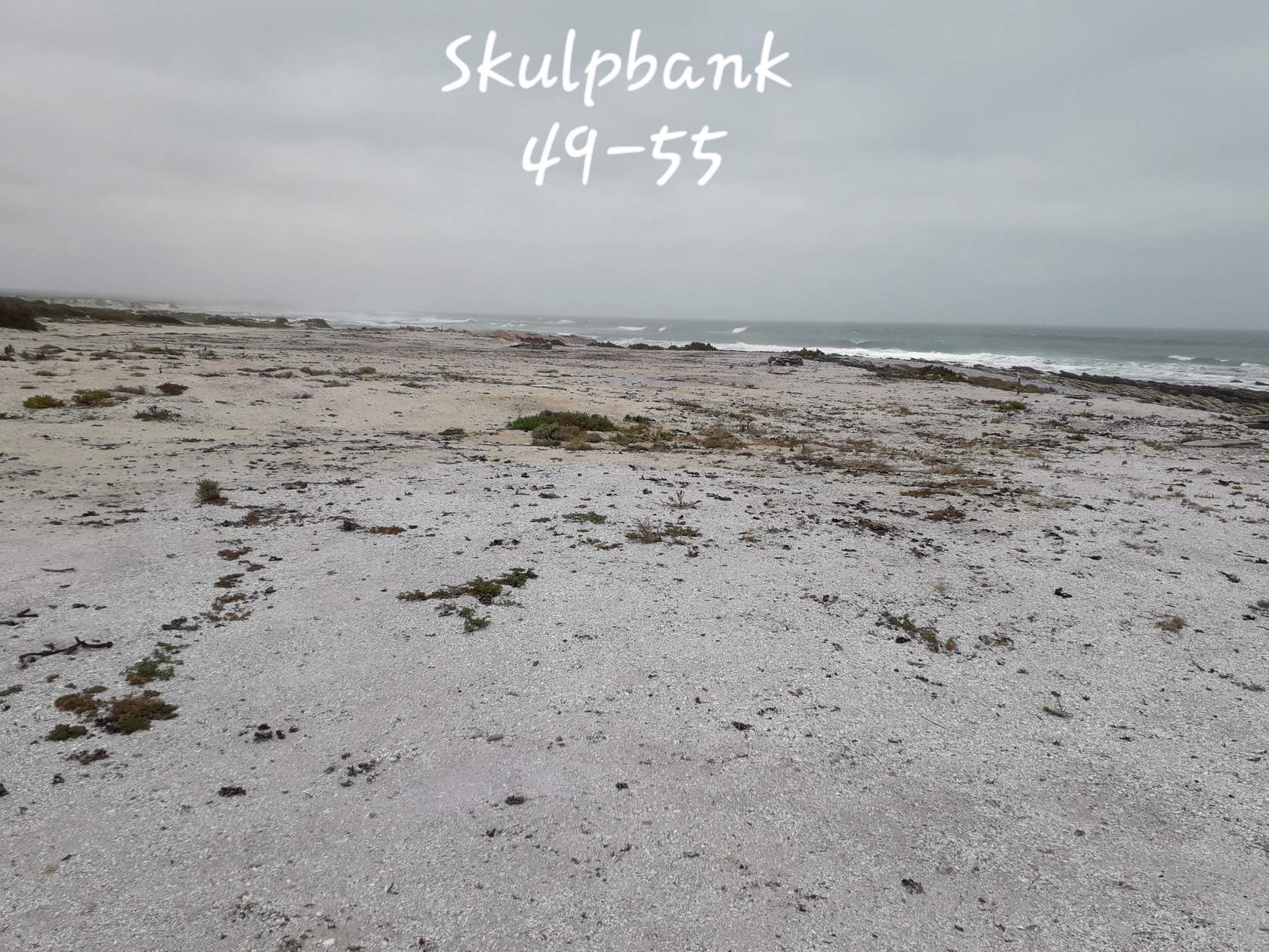 skulpbank 49 55