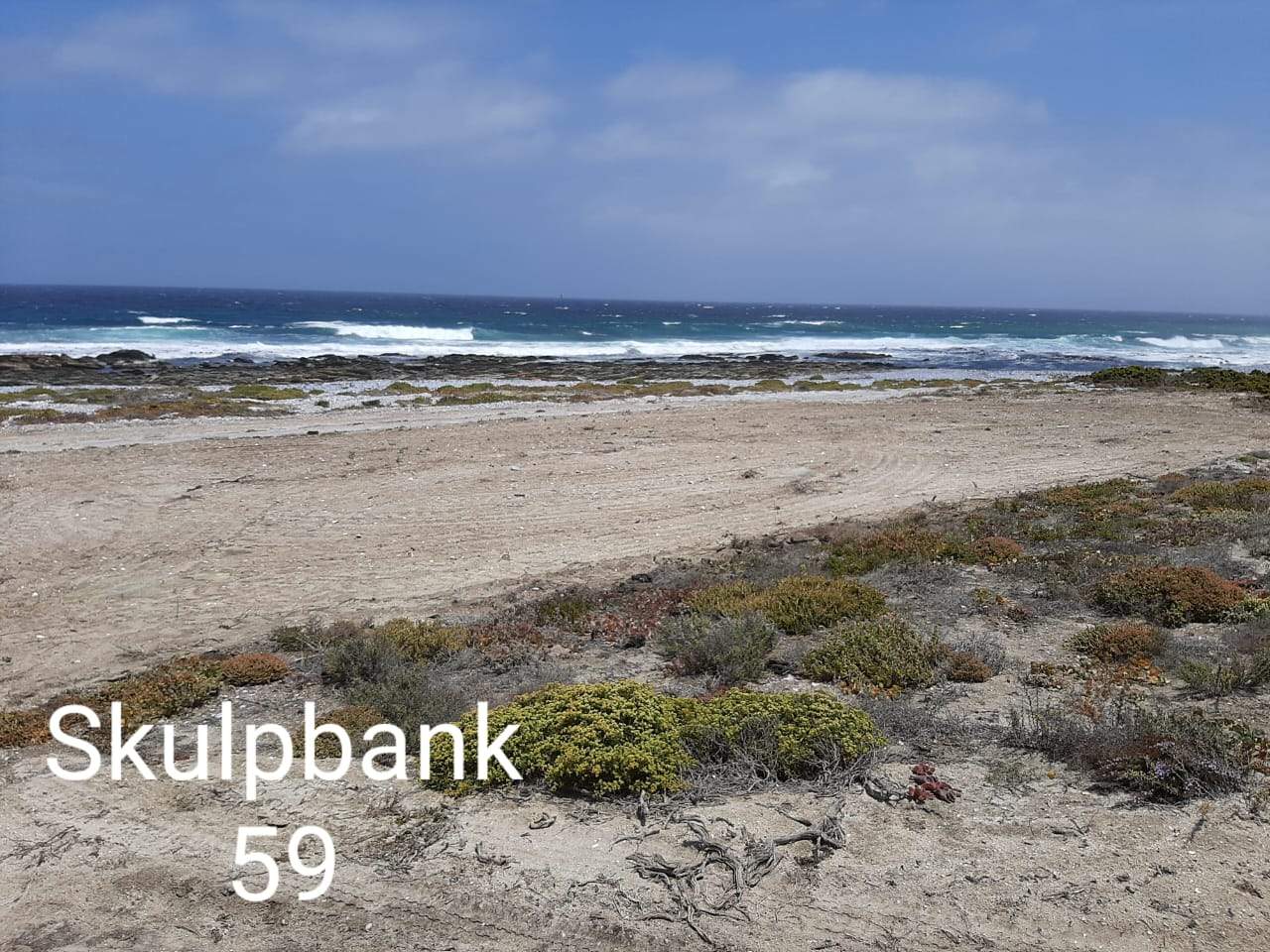 skulpbank 59