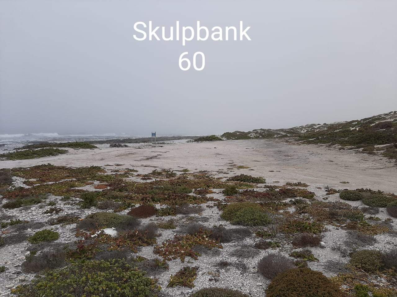 skulpbank 60