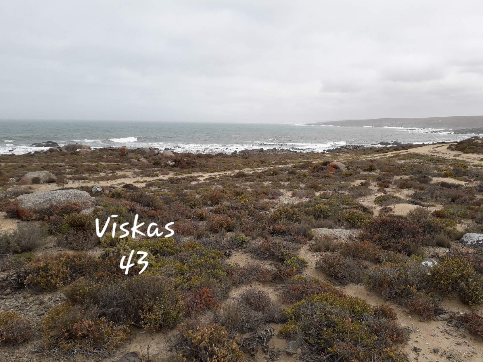 viskas 43